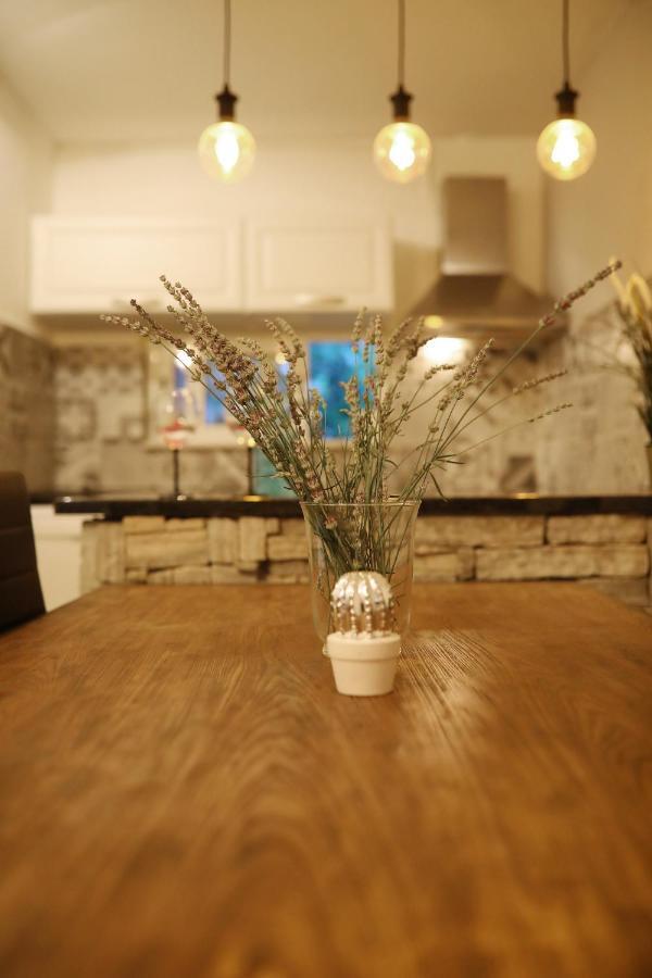 Anchi Holliday House Vila Zadar